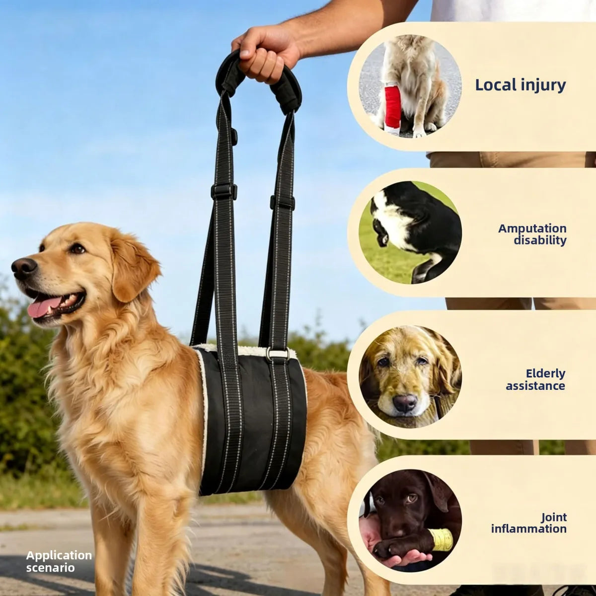 Sollora Pet Dog Rear Leg Injury Recovery Support Harness