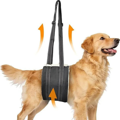 Sollora Pet Dog Rear Leg Injury Recovery Support Harness
