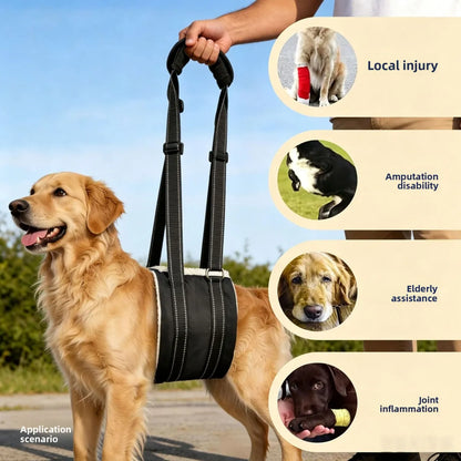 Sollora Pet Dog Rear Leg Injury Recovery Support Harness