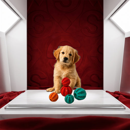Sollora Pet Chew Toy with Food Dispenser