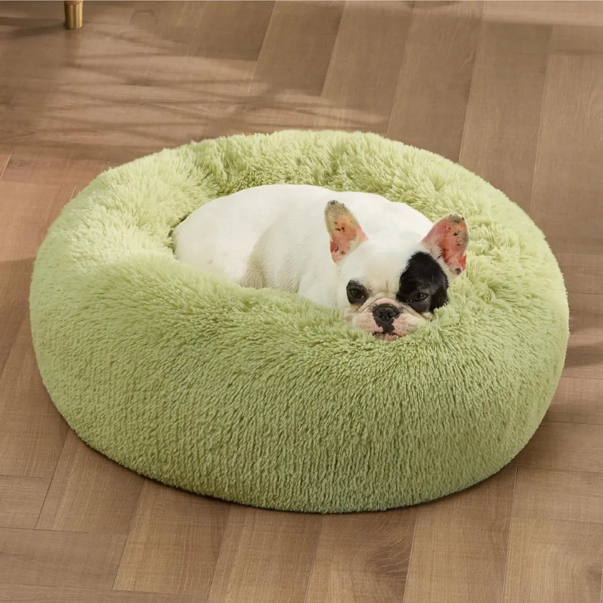 Sollora Round Fluffy Plush Pet Bed