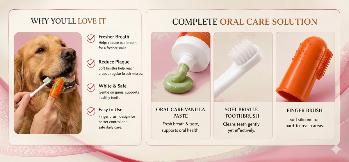 Sollora Pet Dental Care Toothpaste and Toothbrush Set 03.png